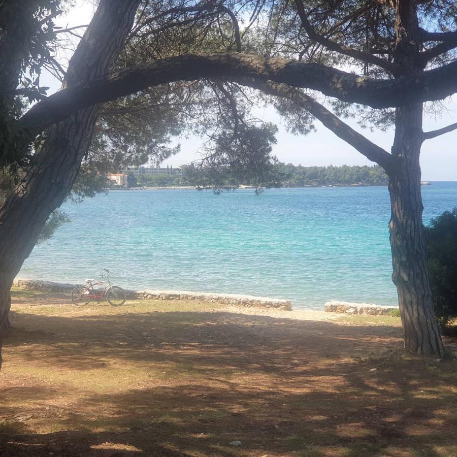 Vila Tena Rovinj Croatia Экстерьер фото