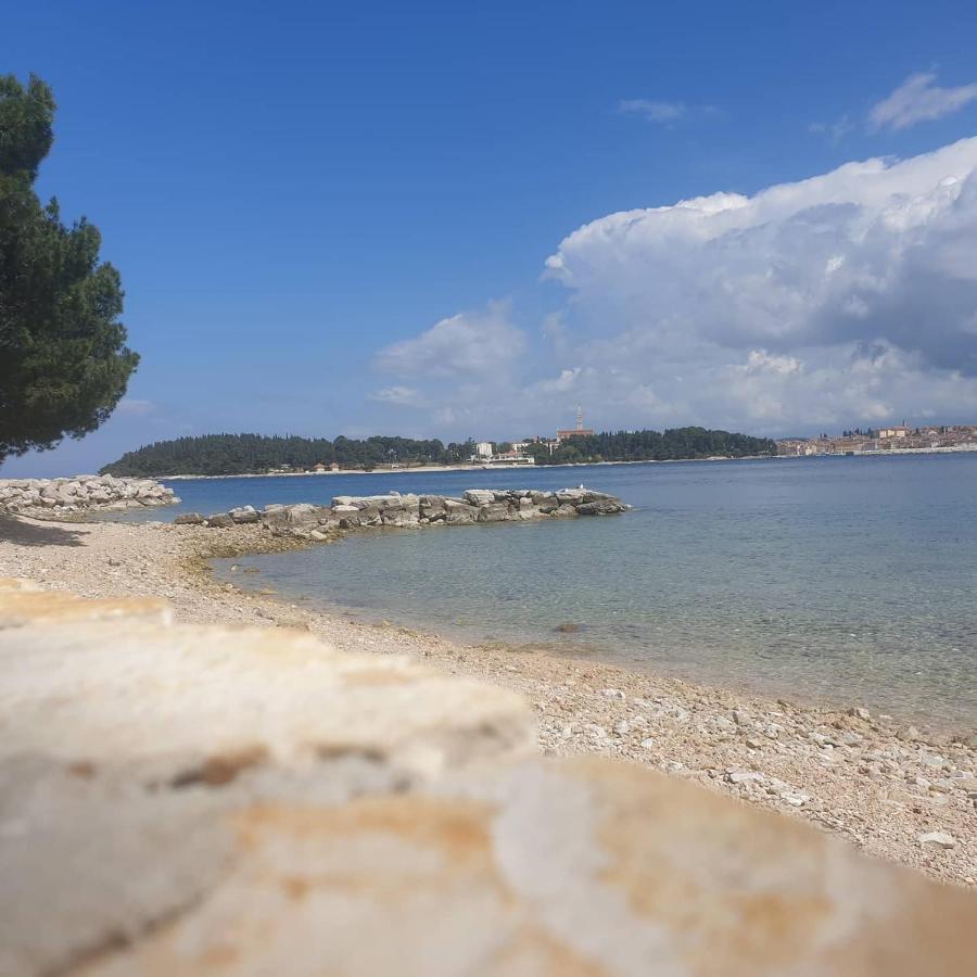 Vila Tena Rovinj Croatia Экстерьер фото