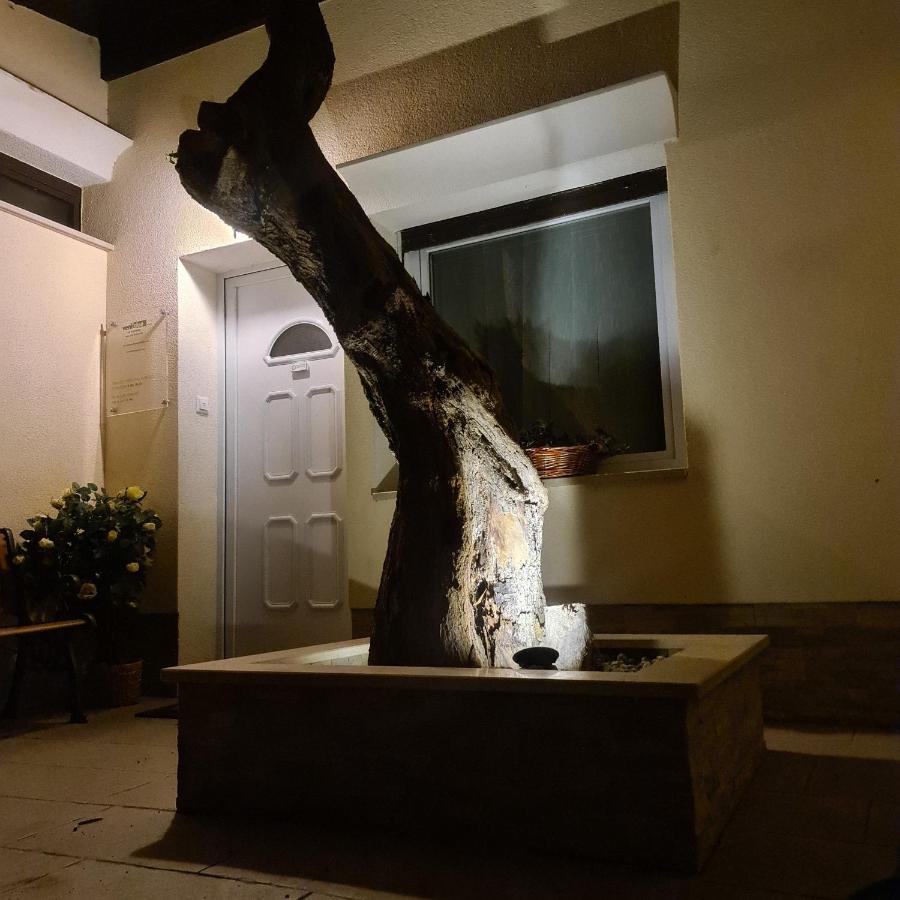 Vila Tena Rovinj Croatia Экстерьер фото